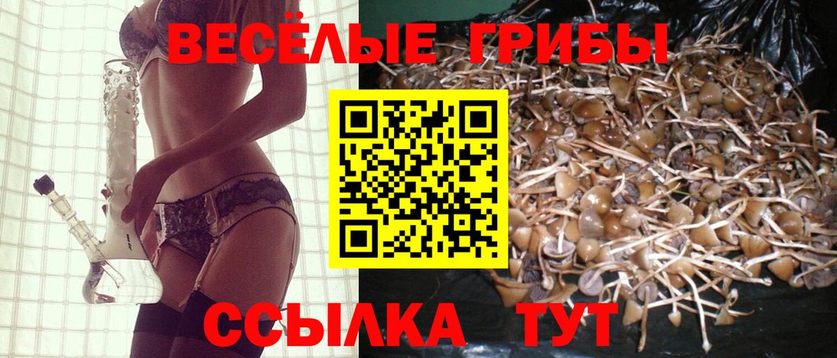 Псилоцибиновые грибы мухоморы Нурлат